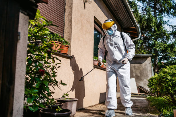 Pest Prevention Services in Loris, SC